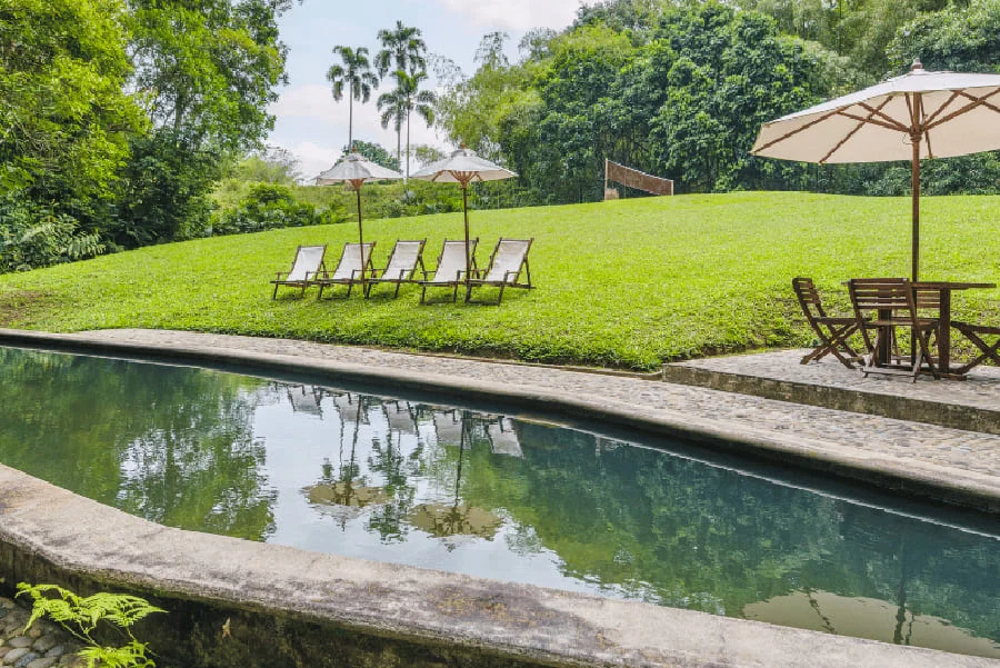 Finca Alquiler en Zona Cafetera